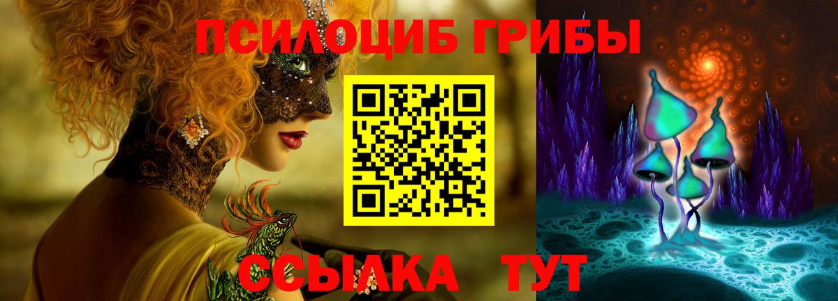 Галлюциногенные грибы Psilocybe  Вход с VPN  Псилоцибиновые грибы прущие грибы  Алапаевск 